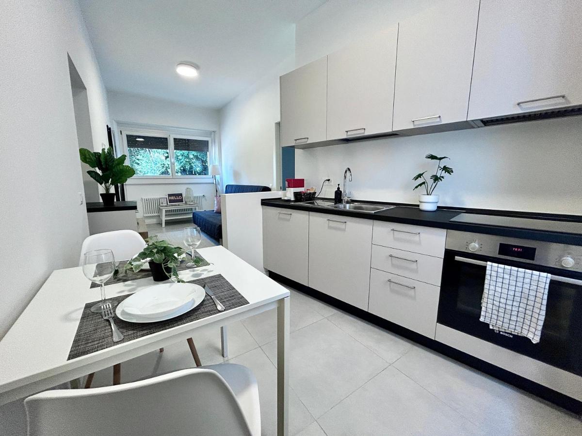 The Charming Suite - Few Steps From The Lake! 盧加諾 外观 照片
